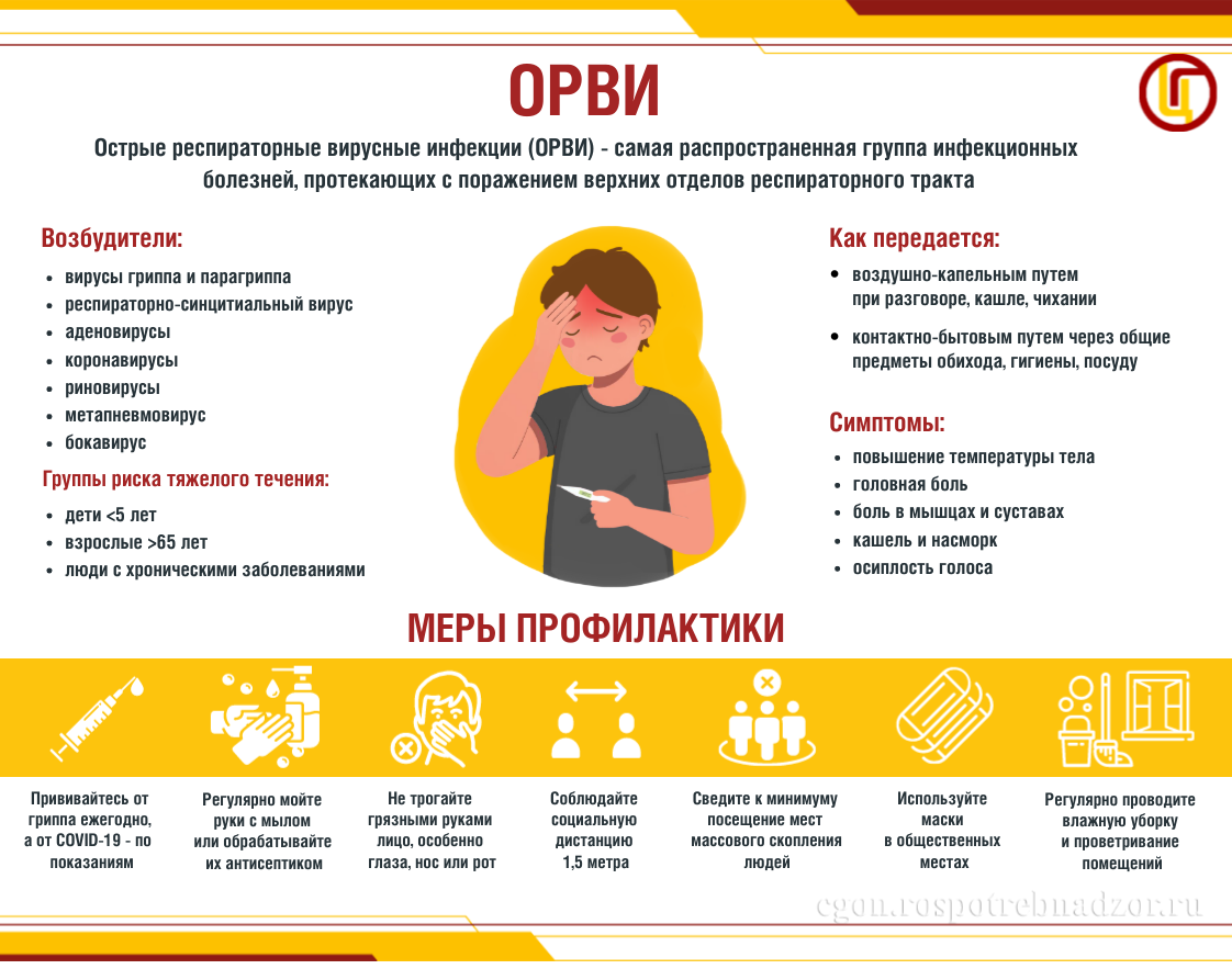 Профилактика гриппа, острых респираторных вирусных инфекций и новой коронавирусной инфекции (COVID-19) в эпидемическом сезоне 2025-2026 году